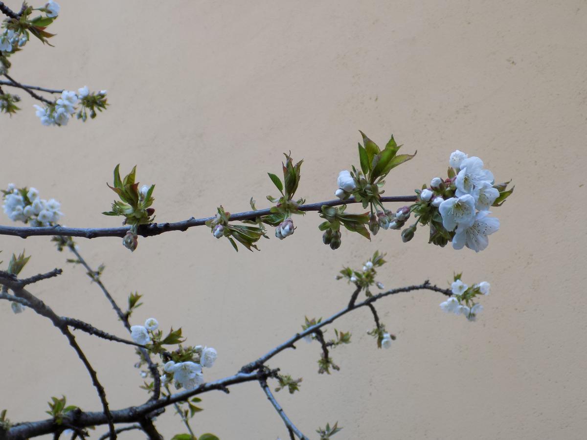 Casa Rural Generoso Madronal ภายนอก รูปภาพ